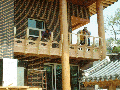 jun cedar 10.gif